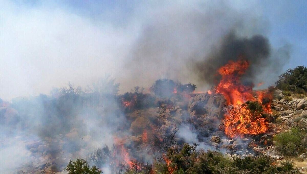 آتشافروز هیرکانی بازداشت شد. آتشافروز هیرکانی بازداشت شد.
