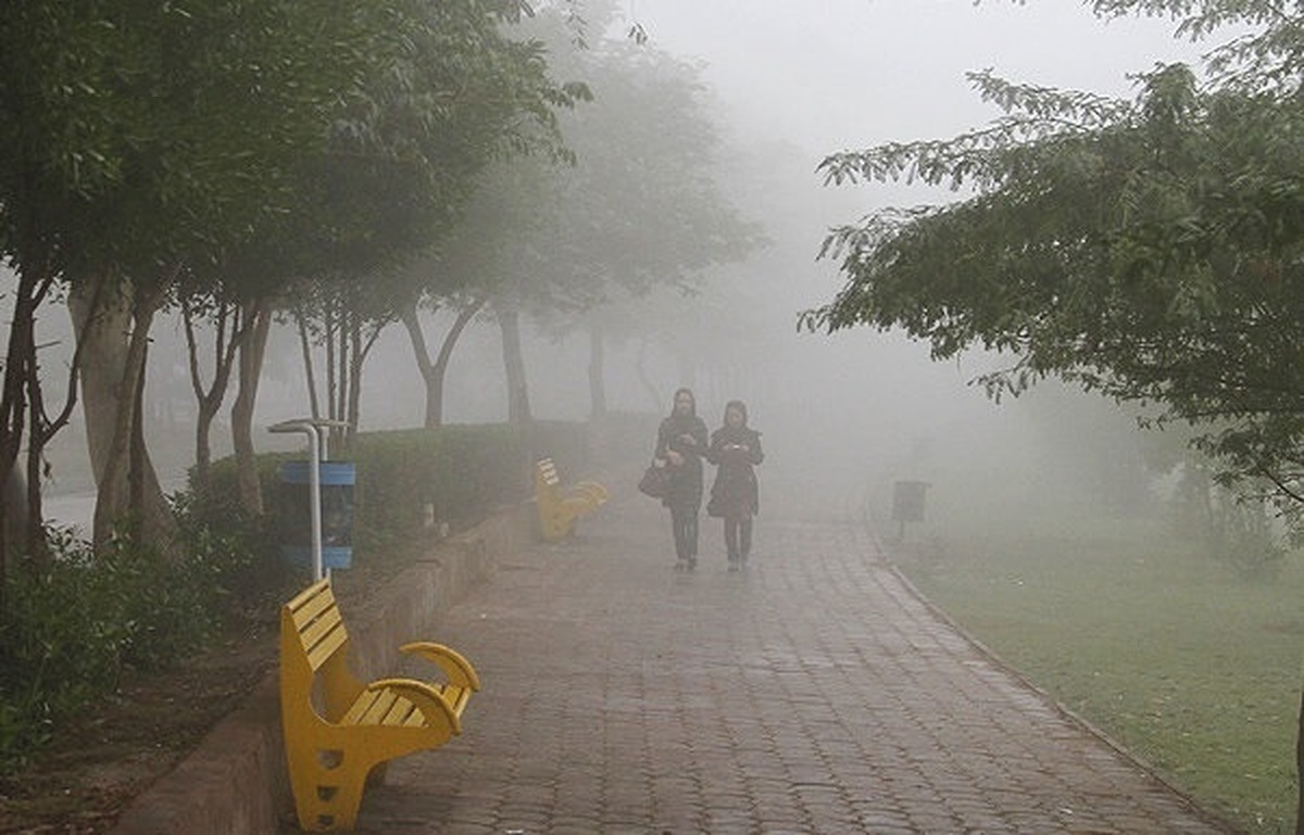 پیش بینی وقوع پدیده مه در سواحل و مناطق جنوبی استان