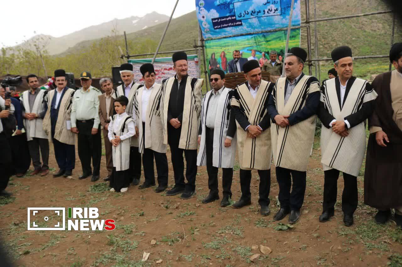 افزایش ۳۰ درصدی تولید علوفه در کشور