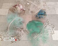 متخلفان زیست محیطی در دام محیط بانان لرستان