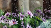 تداوم فعالیت سامانه بارشی در آذربایجان شرقی