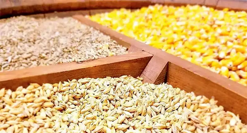 کشف بیش از ۱۰ تن آرد و خوراک طیور قاچاق در الیگودرز