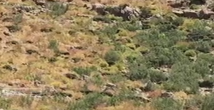 کوه قارون؛ مقصد تازه گردشگران ماجراجو
