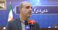 ورود سازمان بازرسی به ساماندهی بازار خودرو