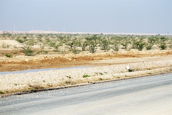 احیای کمربند سبز ۱۲۰۰ هکتاری اهواز احیای کمربند سبز ۱۲۰۰ هکتاری اهواز