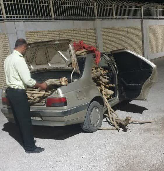تاغ