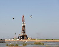 لزوم انطباق فعالیت‌های نفتی در تالاب هورالعظیم خوزستان با مجوز‌های زیست‌محیطی