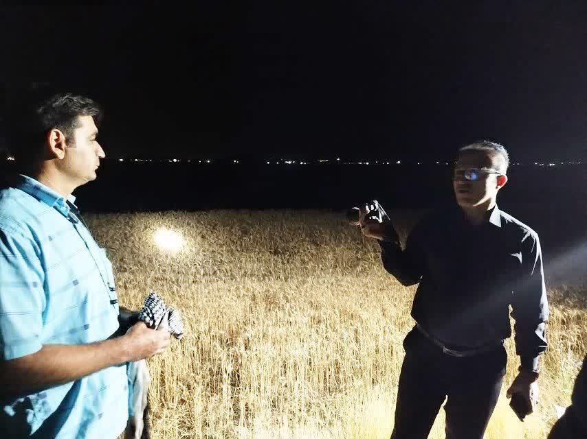 مهار آتش سوزی در مزارع گندم ازنا لرستان مهار آتش سوزی در مزارع گندم ازنا لرستان