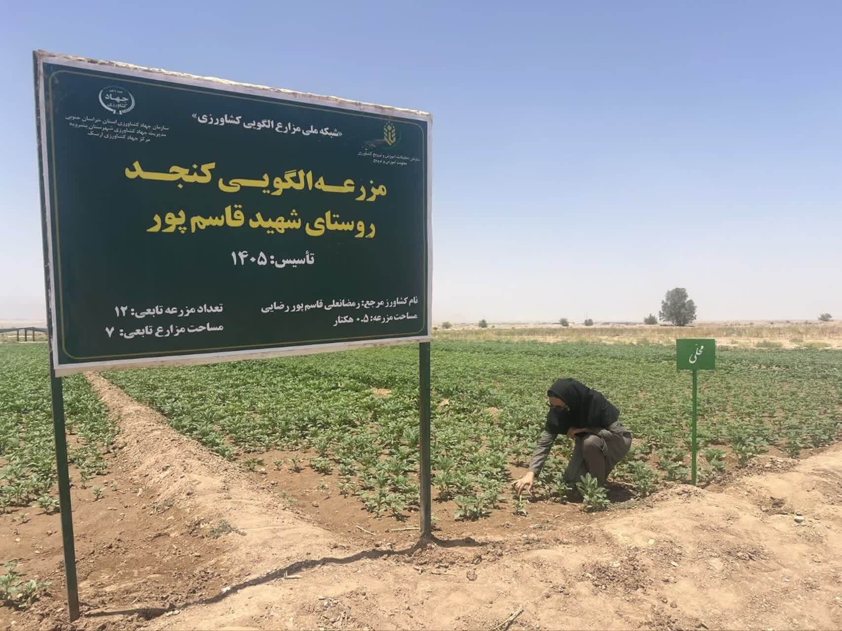 آغاز پیوستگی مزارع الگویی بشرویه به شبکه ملی کشاورزی هوشمند آغاز پیوستگی مزارع الگویی بشرویه به شبکه ملی کشاورزی هوشمند
