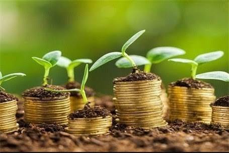 واریز ۵۳۱ میلیارد تومان به حساب گندم‌کاران کرمانشاهی