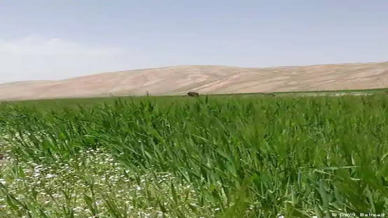 کشف زمین خواری ۷۲ میلیارد ریالی در آق قلا کشف زمین خواری ۷۲ میلیارد ریالی در آق قلا