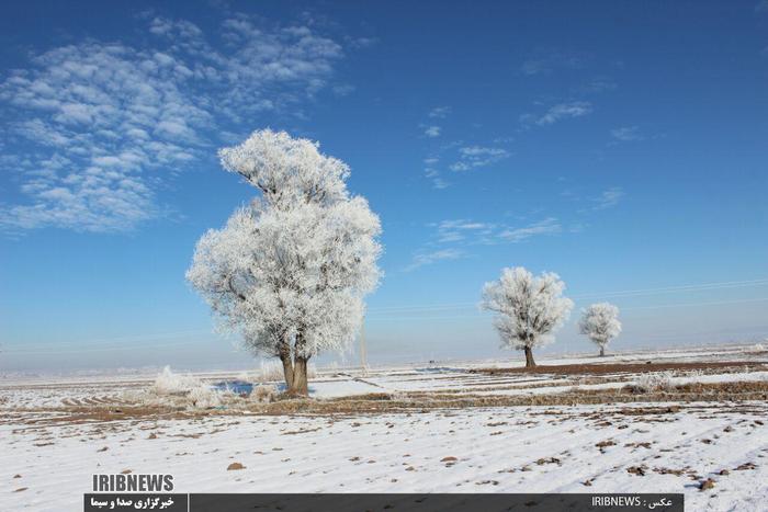 روز برفی اردبیل