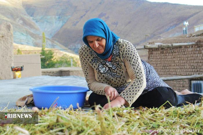 ساکنان روستای الولک
