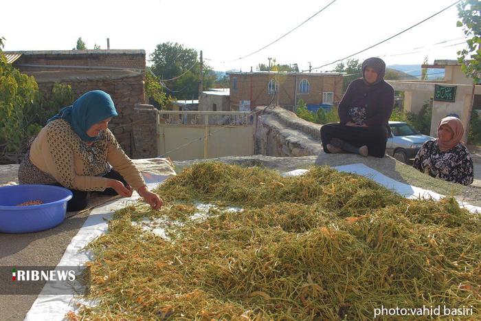 ساکنان روستای الولک