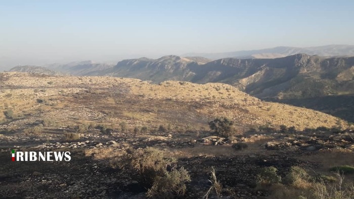 آتش سوزی در مراتع منطقه بهرام بیگی علیا