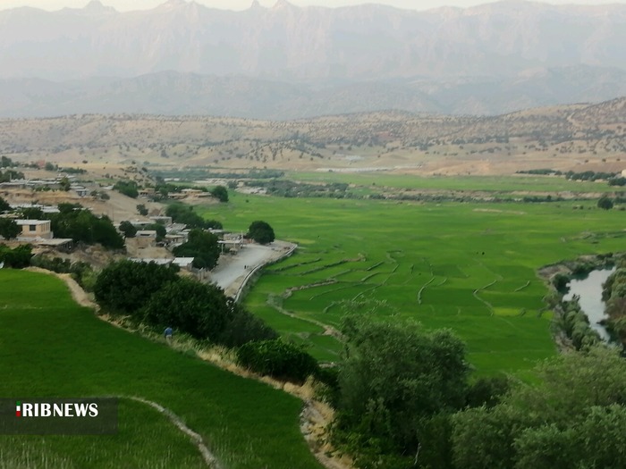 طبیعت بهاری سد و شالیزارهای چیتاب در شهرستان دنا