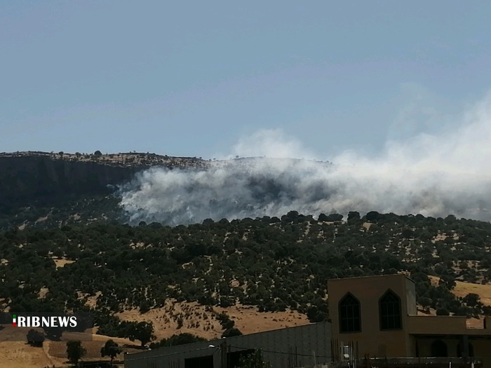 آتش سوزی در بخشی از مراتع و جنگلهای مشرف بر شهر چیتاب