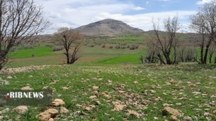 رخ نمایی بهار طبیعت در روستای قرعلیوند 